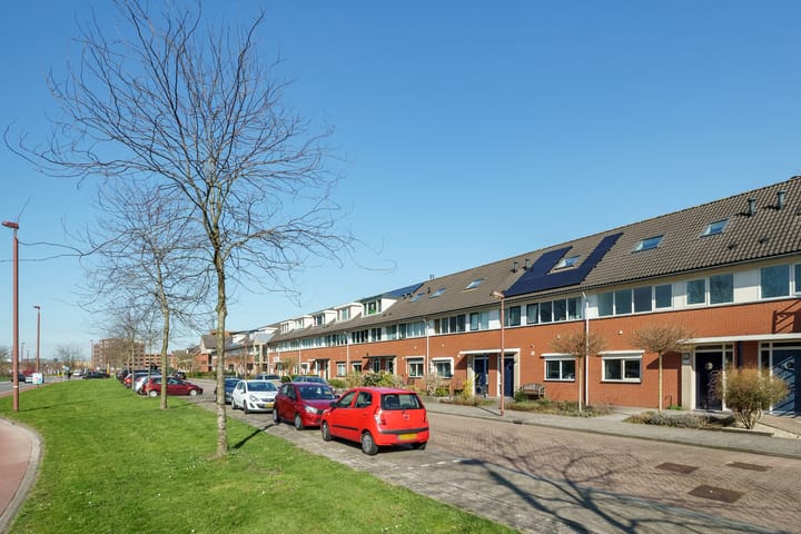 Photo 3 of Jan van Scorelhage 39