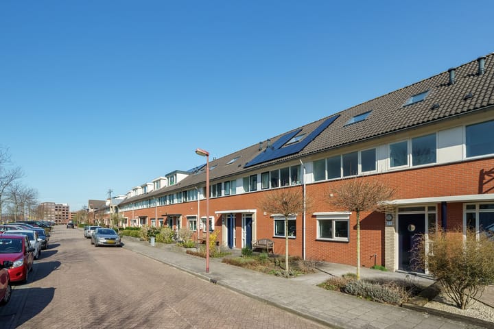 Photo 2 of Jan van Scorelhage 39