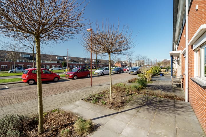 Photo 6 of Jan van Scorelhage 39