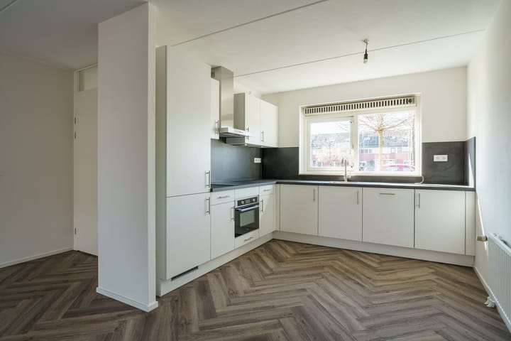 Photo 12 of Jan van Scorelhage 39