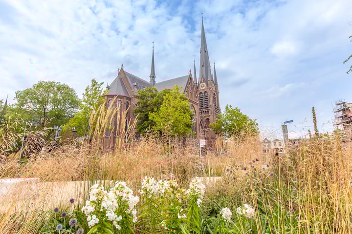 Foto 58 van Defensie-eiland 4