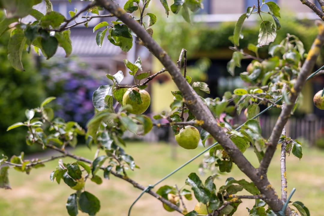 Foto 31 van Haaksbergerstraat 193