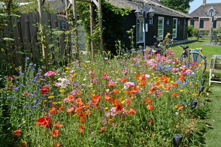 Photo 62 of Zuiderpad 9