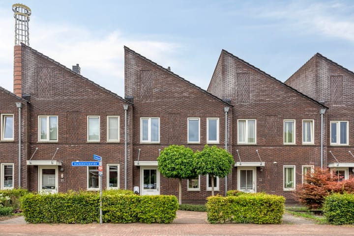 Foto 1 van Hummelsweide 13