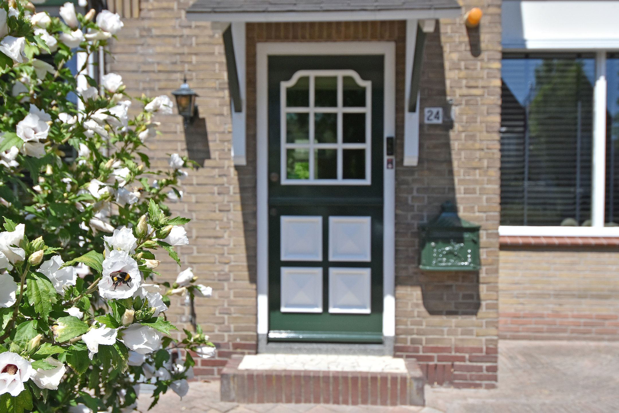 Foto 9 van Koningin Wilhelminastraat 24