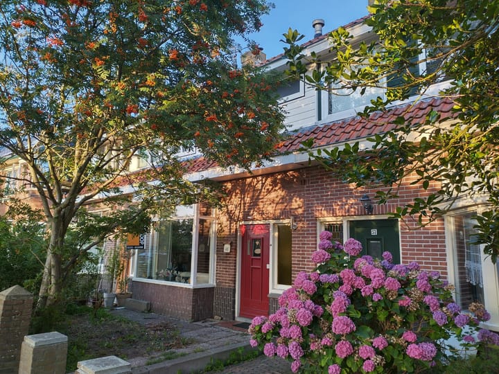 Foto 3 van Prins Willem-Alexandersingel 49