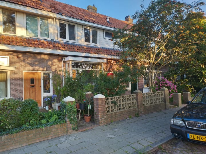 Foto 2 van Prins Willem-Alexandersingel 49