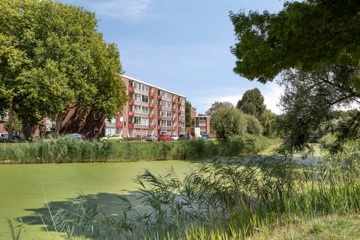 Douwelerwetering 17