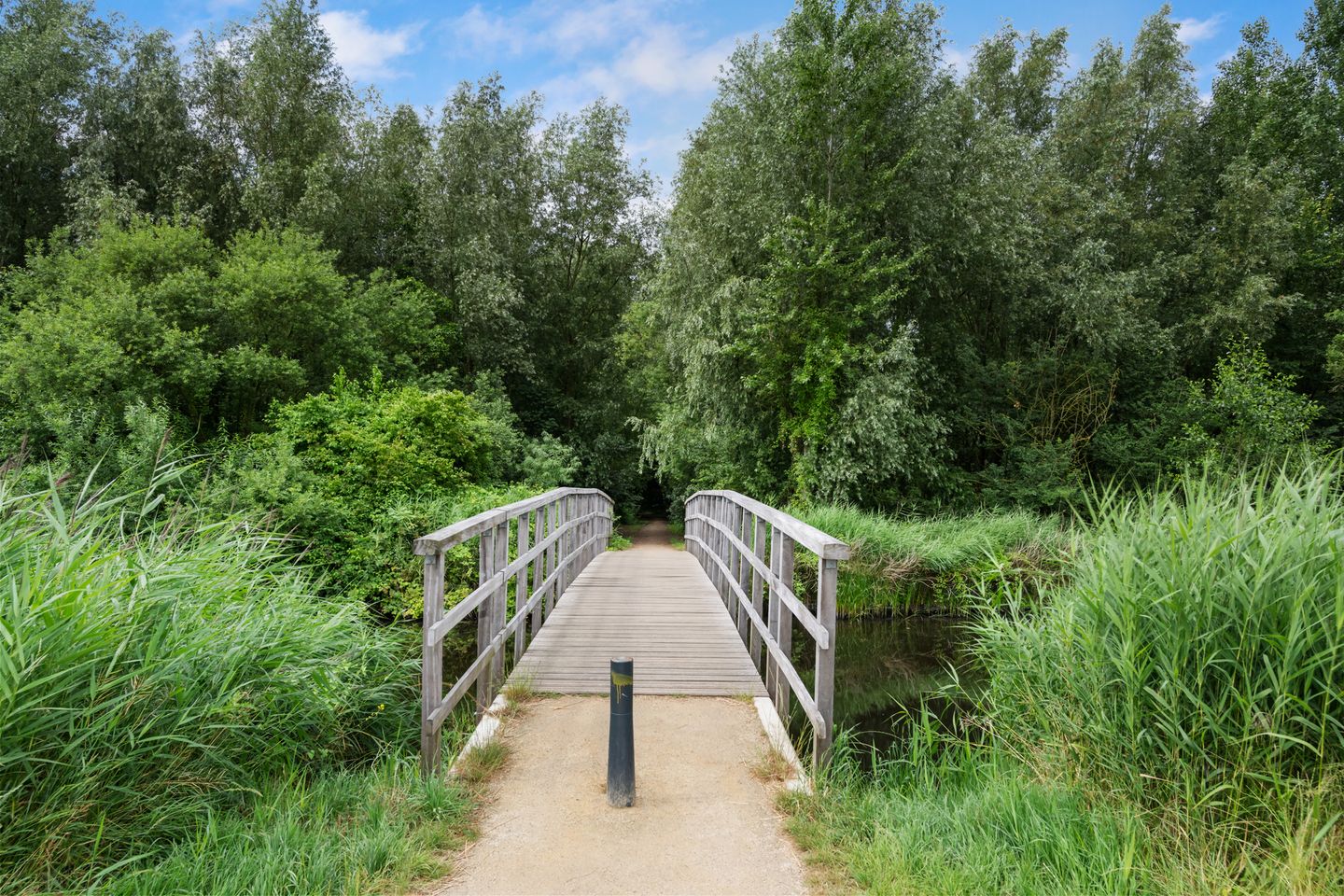 Foto 5 van Wollefoppenweg 53-A