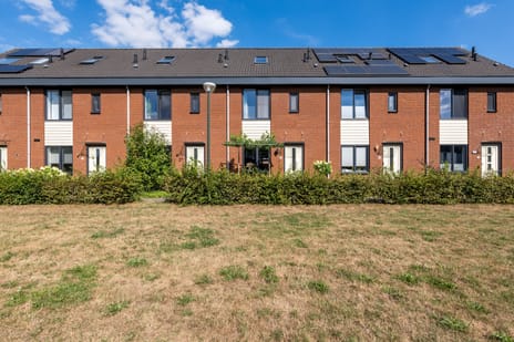 undefined main image