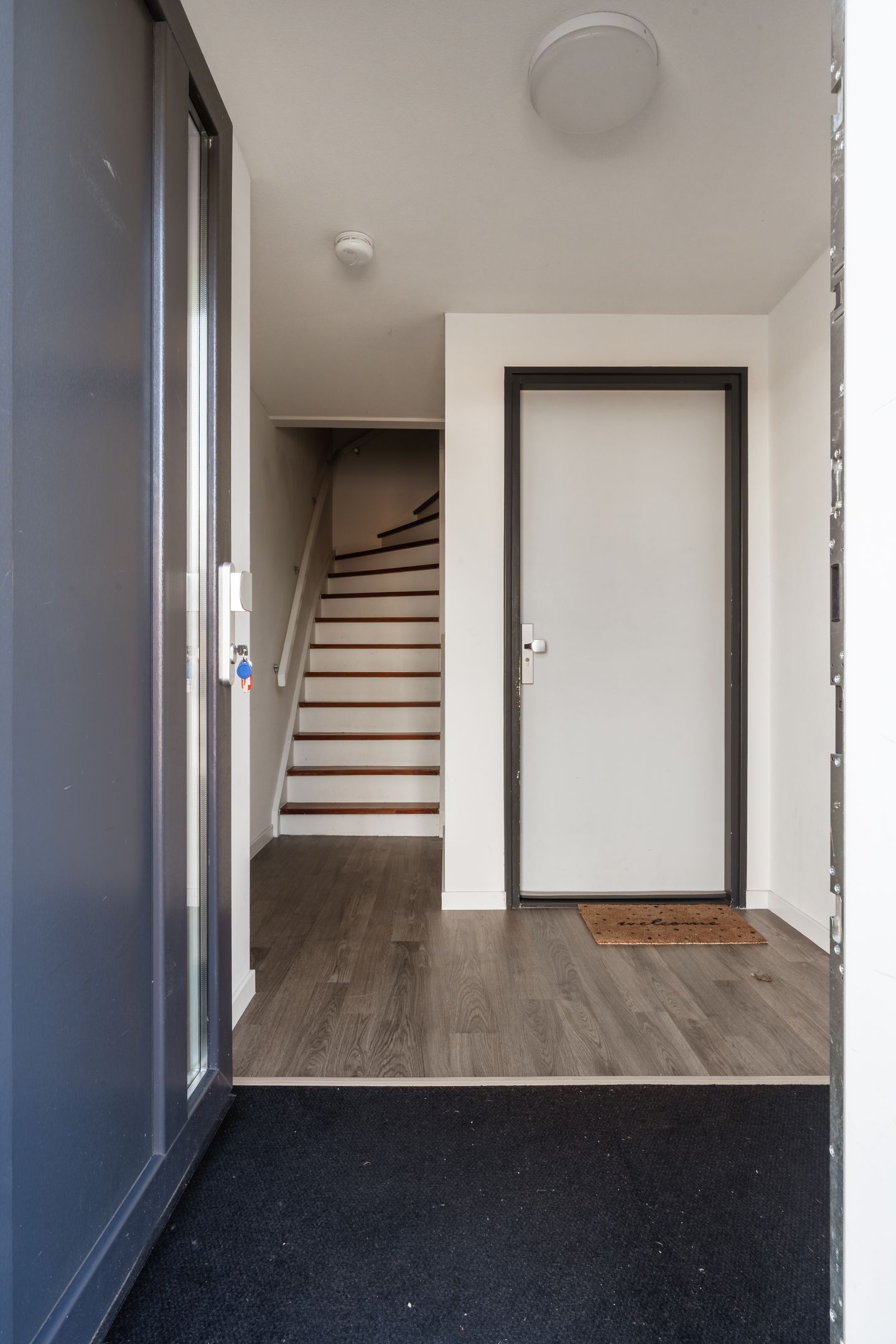 Photo 5 of Breehorn 40-C