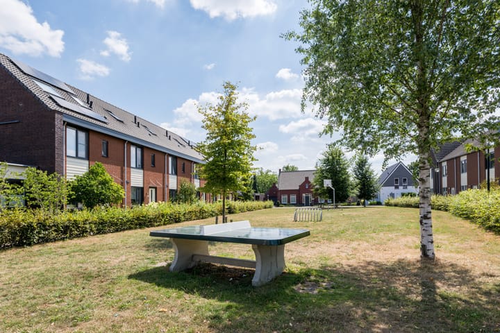 Foto 38 van Blaarkop 25