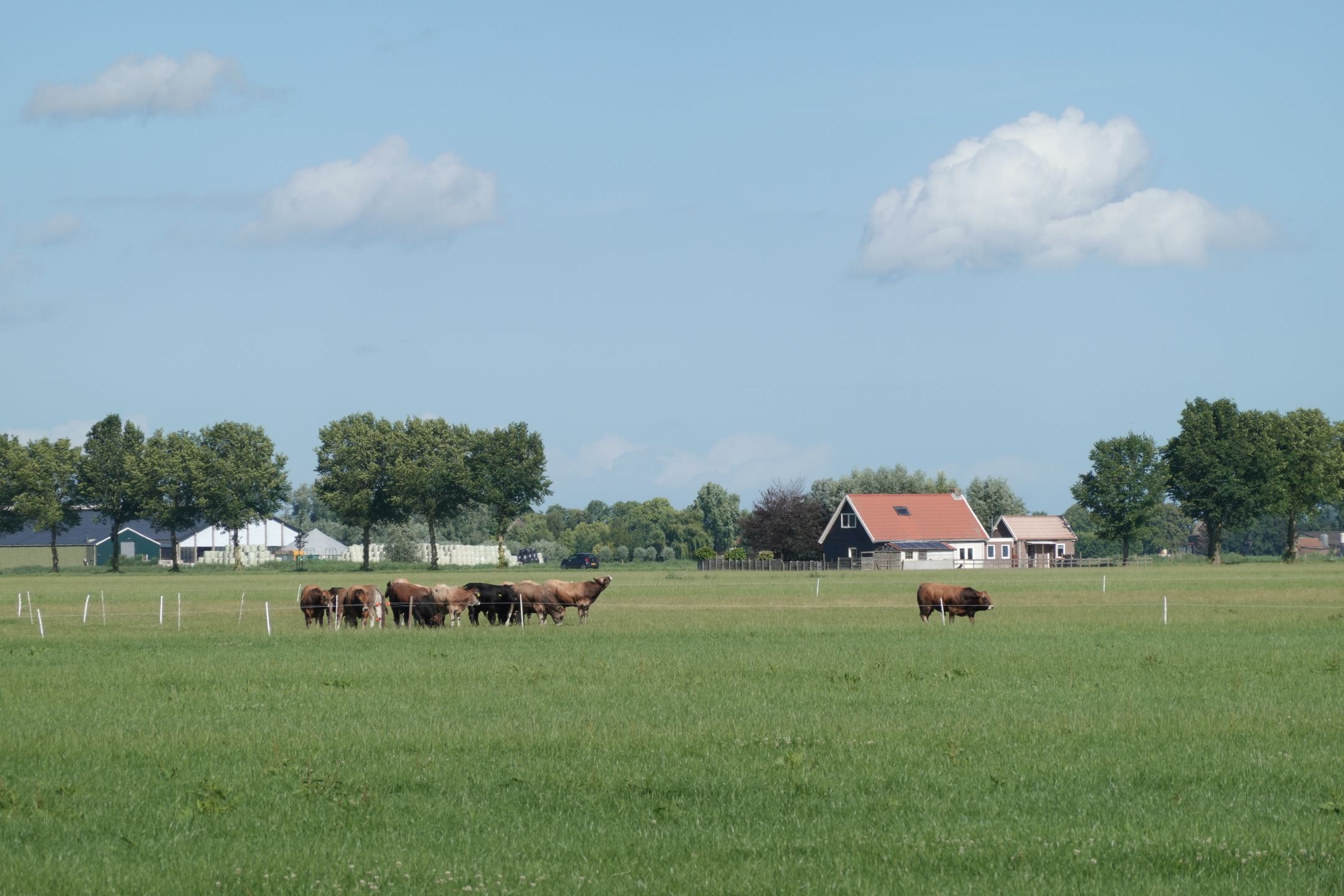 Foto 6 van Zuidermeerweg 7