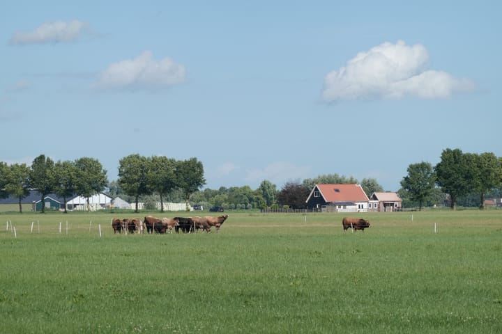 Foto 6 van Zuidermeerweg 7