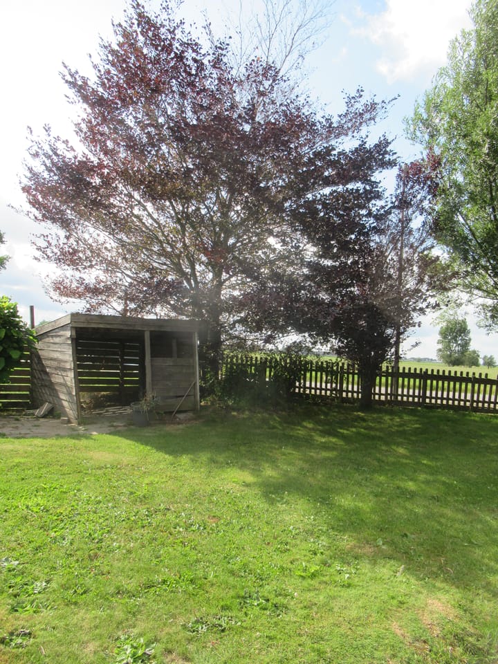 Foto 20 van Zuidermeerweg 7