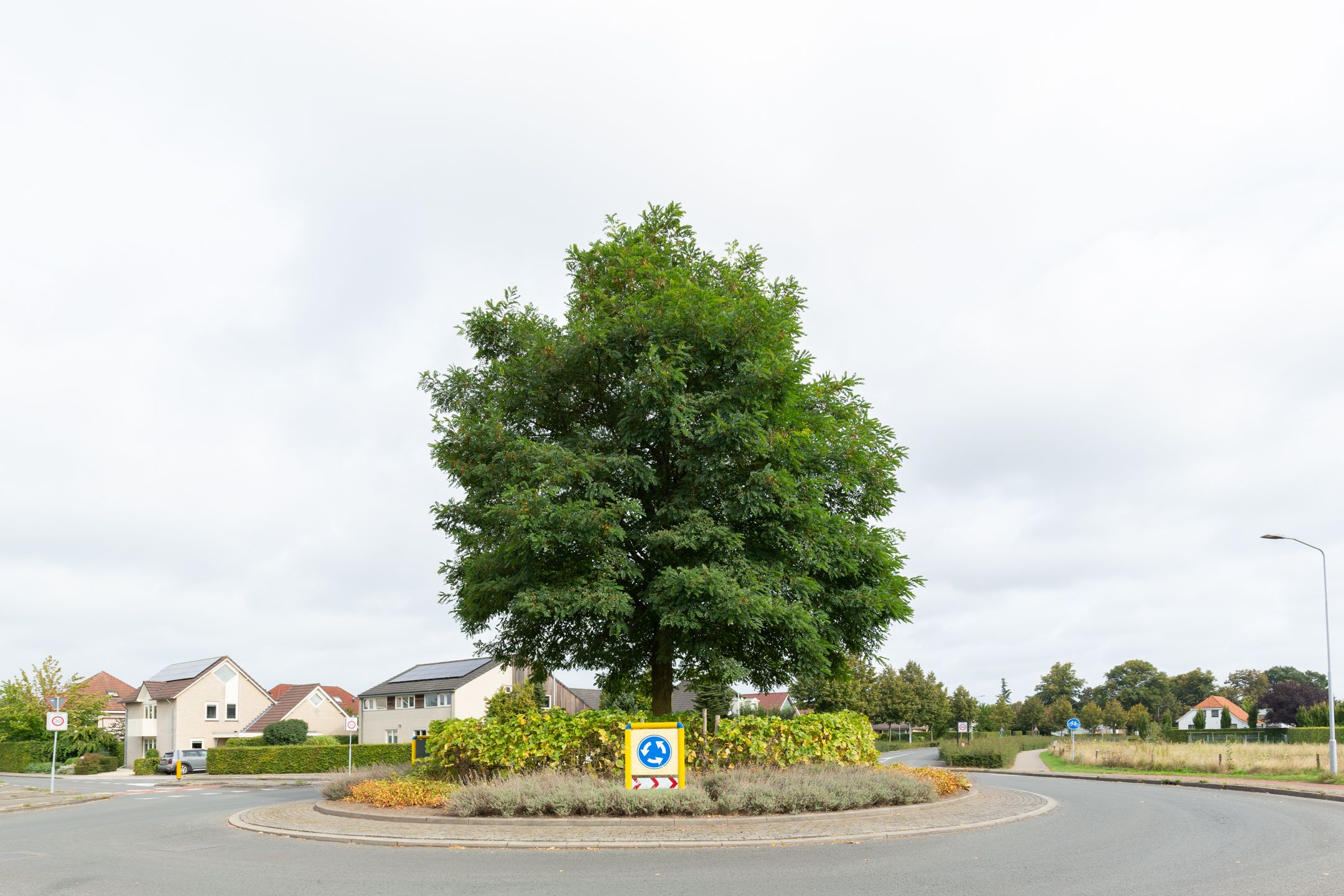 Foto 72 van De Snieder 2