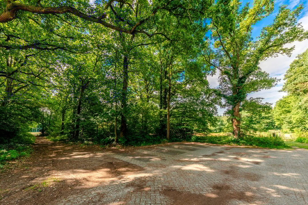 Foto 31 van Willem Versteeghstraat 1