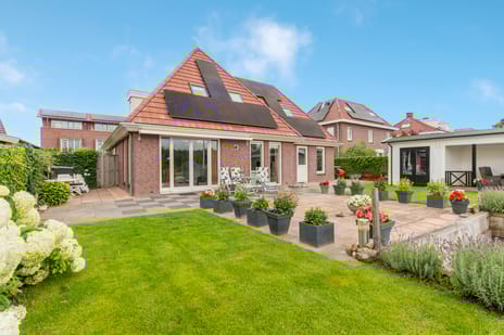 Barbarakruid thumbnail