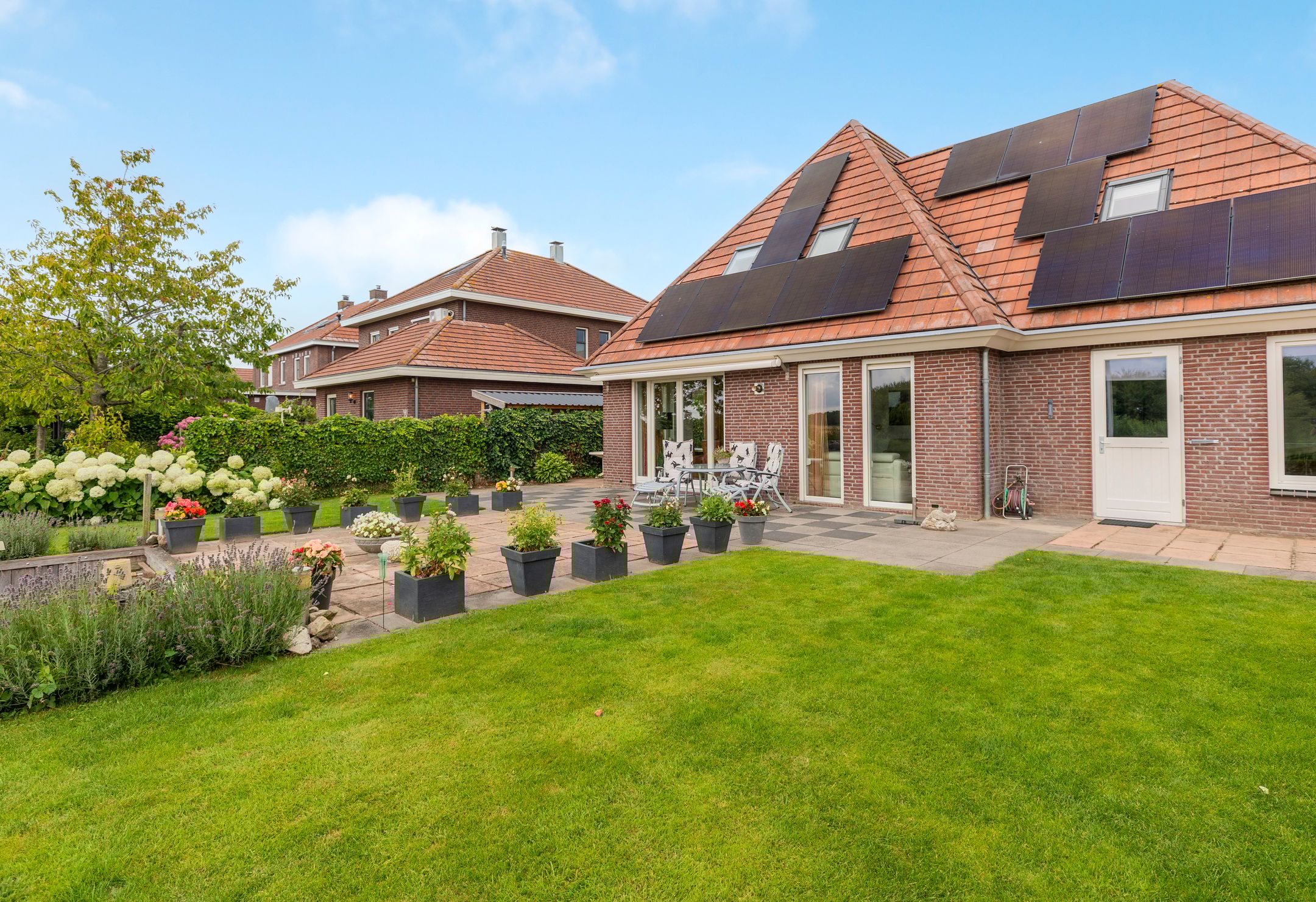 Foto 3 van Barbarakruid 8