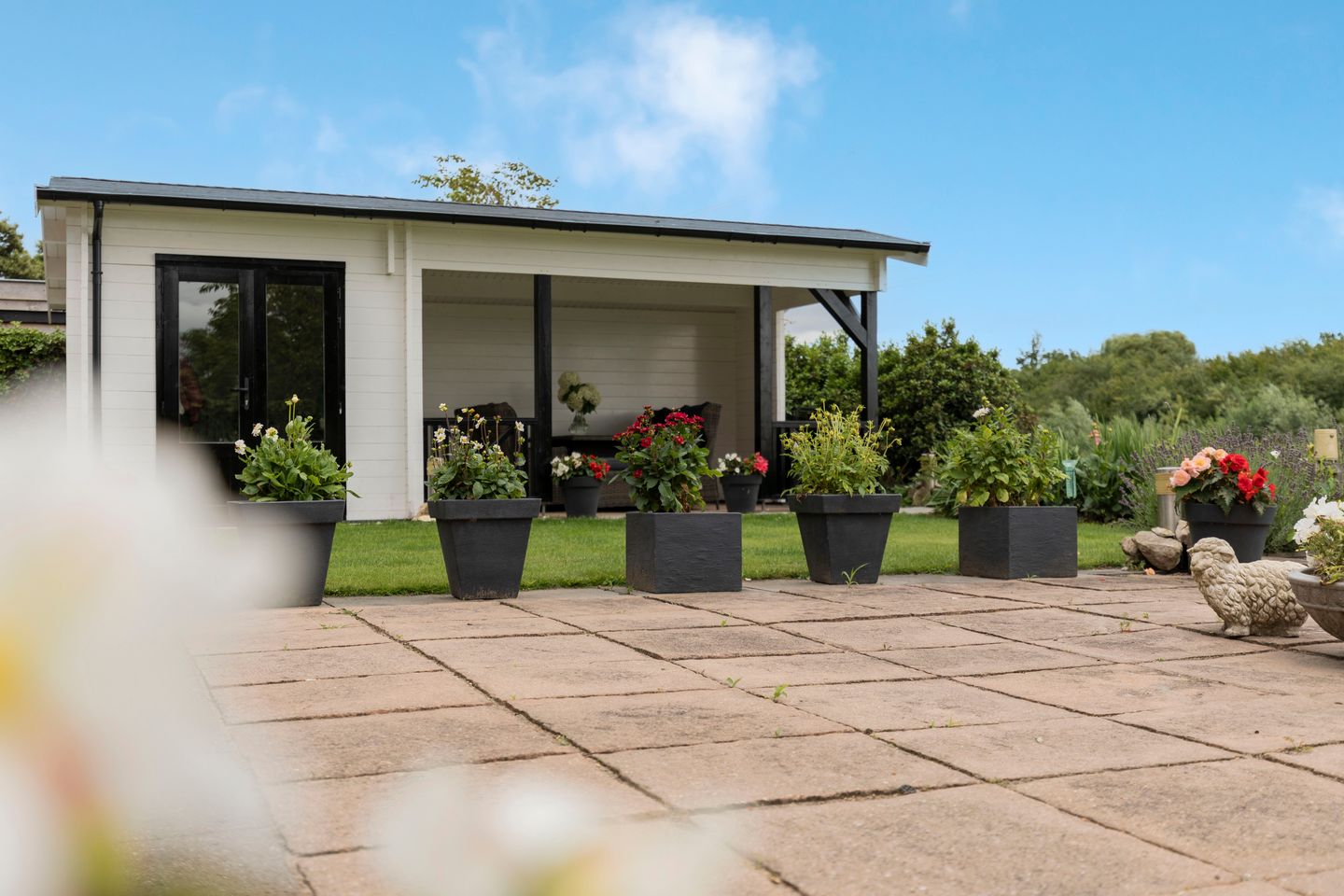 Foto 5 van Barbarakruid 8