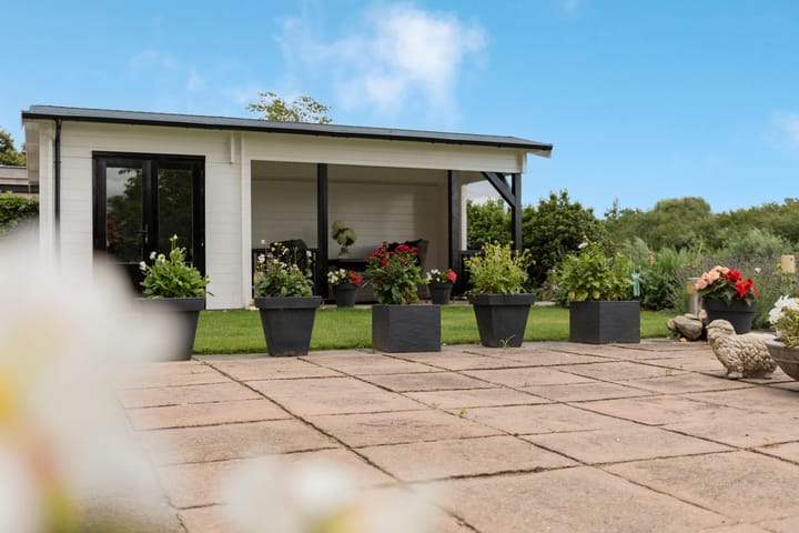 Foto 5 van Barbarakruid 8