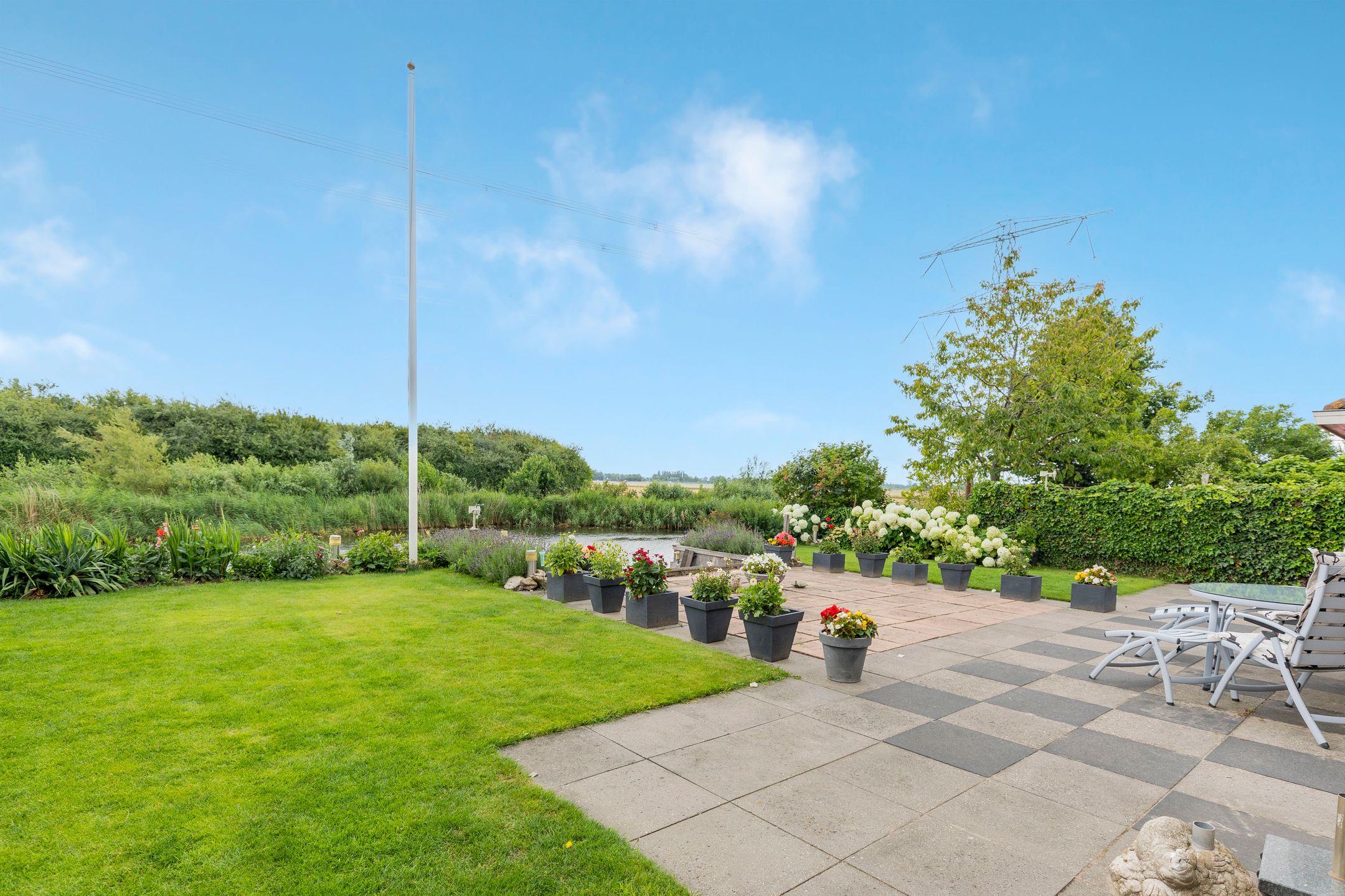 Foto 6 van Barbarakruid 8