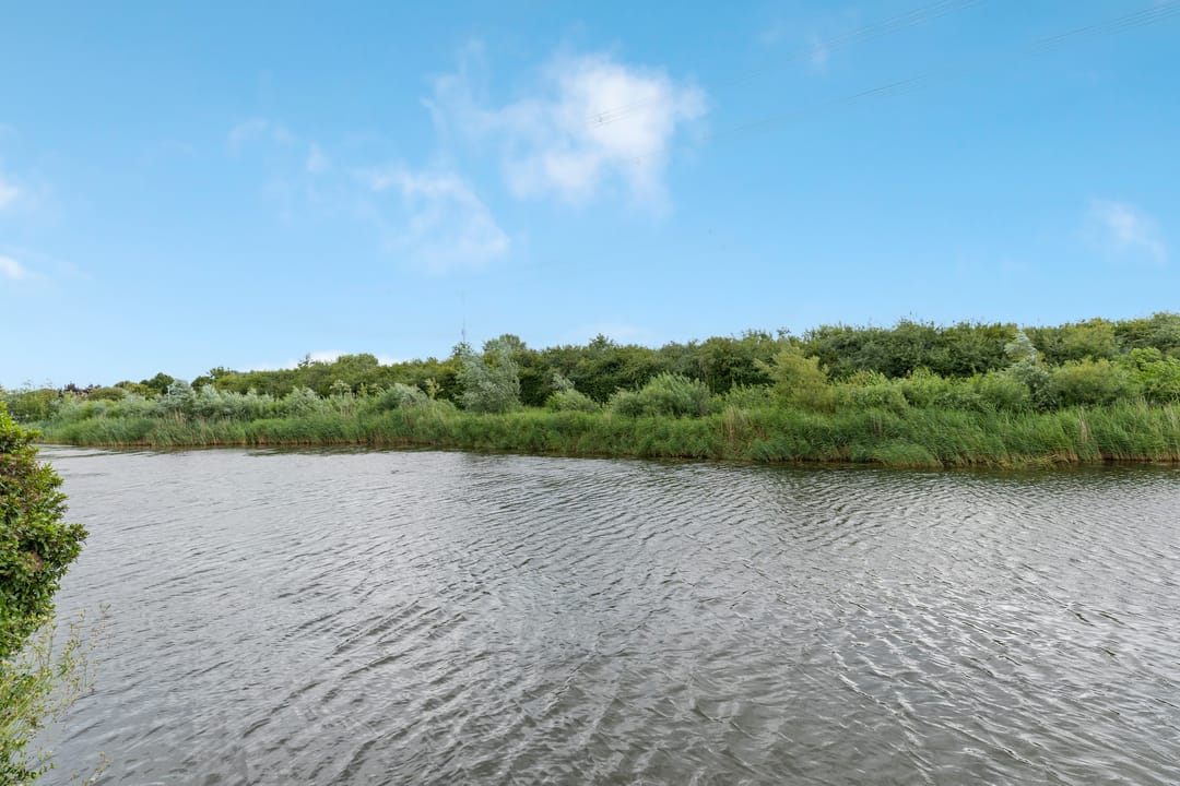 Foto 7 van Barbarakruid 8