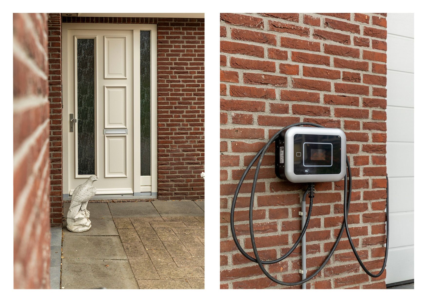 Foto 9 van Barbarakruid 8