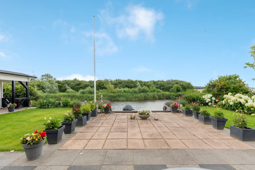 Foto 52 van Barbarakruid 8