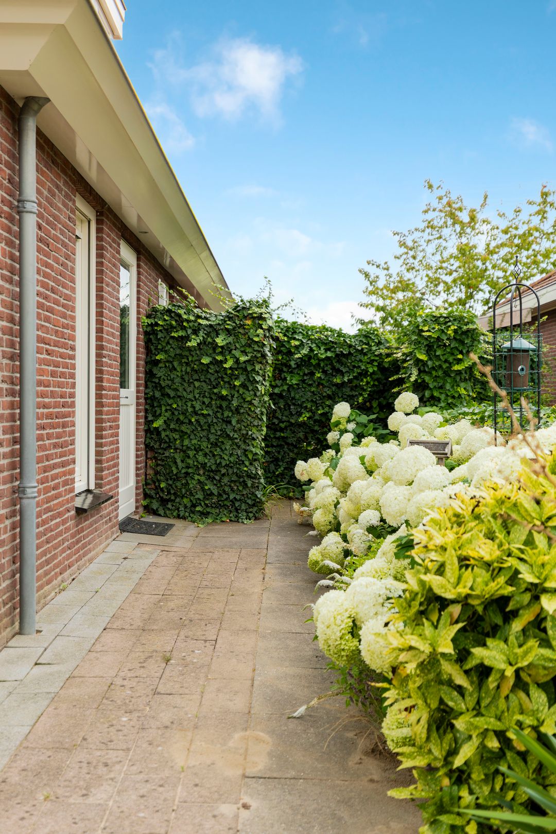 Foto 58 van Barbarakruid 8