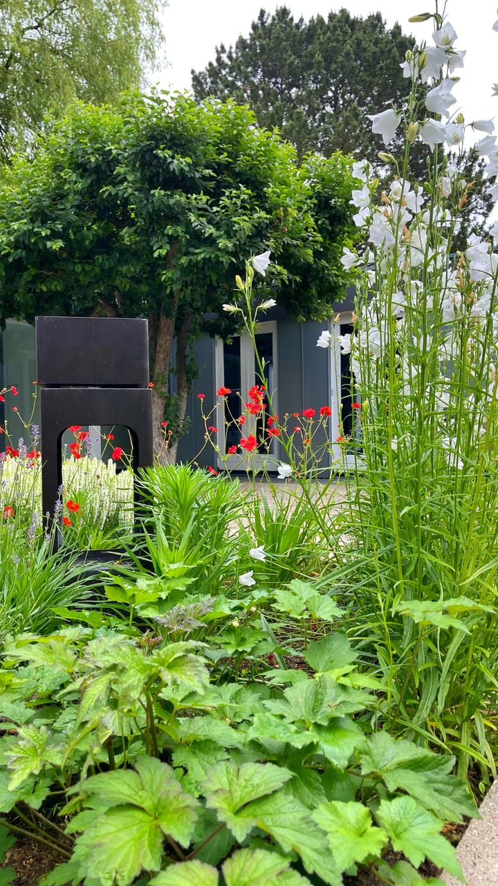 Foto 47 van Lindenlaan 3