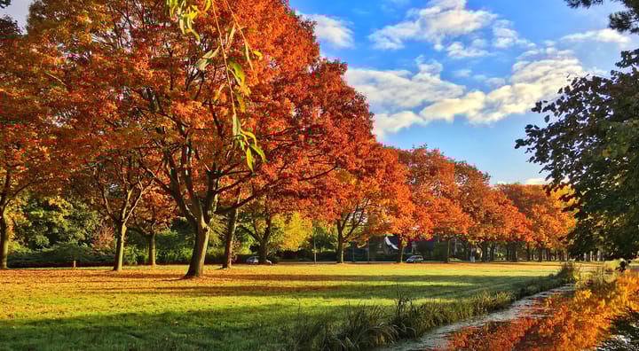 Foto 61 van Lindenlaan 3