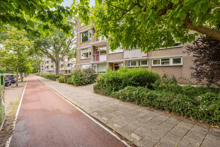 Burgemeester de Zeeuwstraat 206