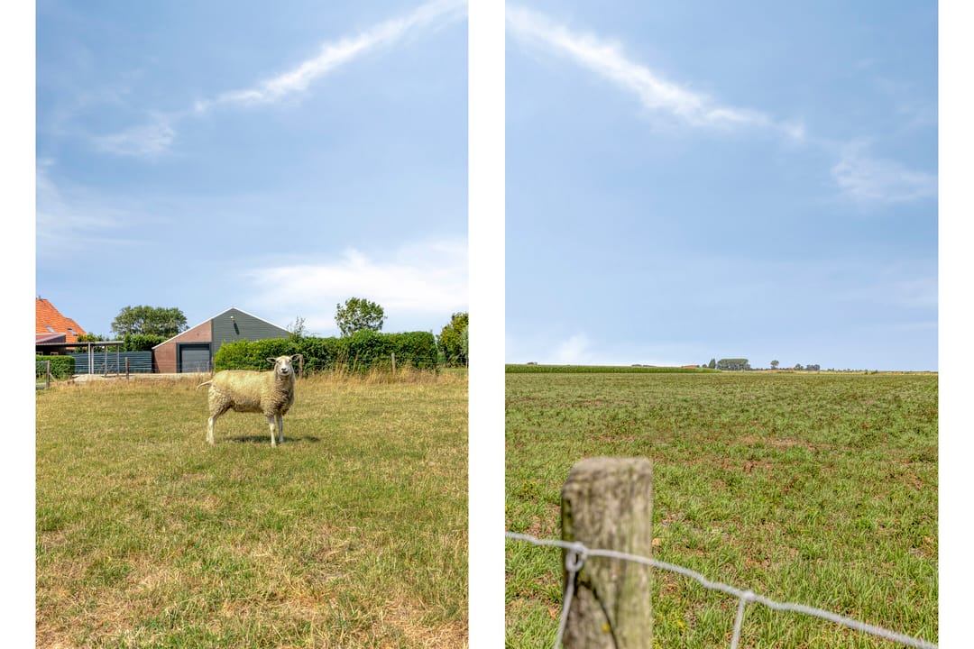 Photo 86 of Provincialeweg 14