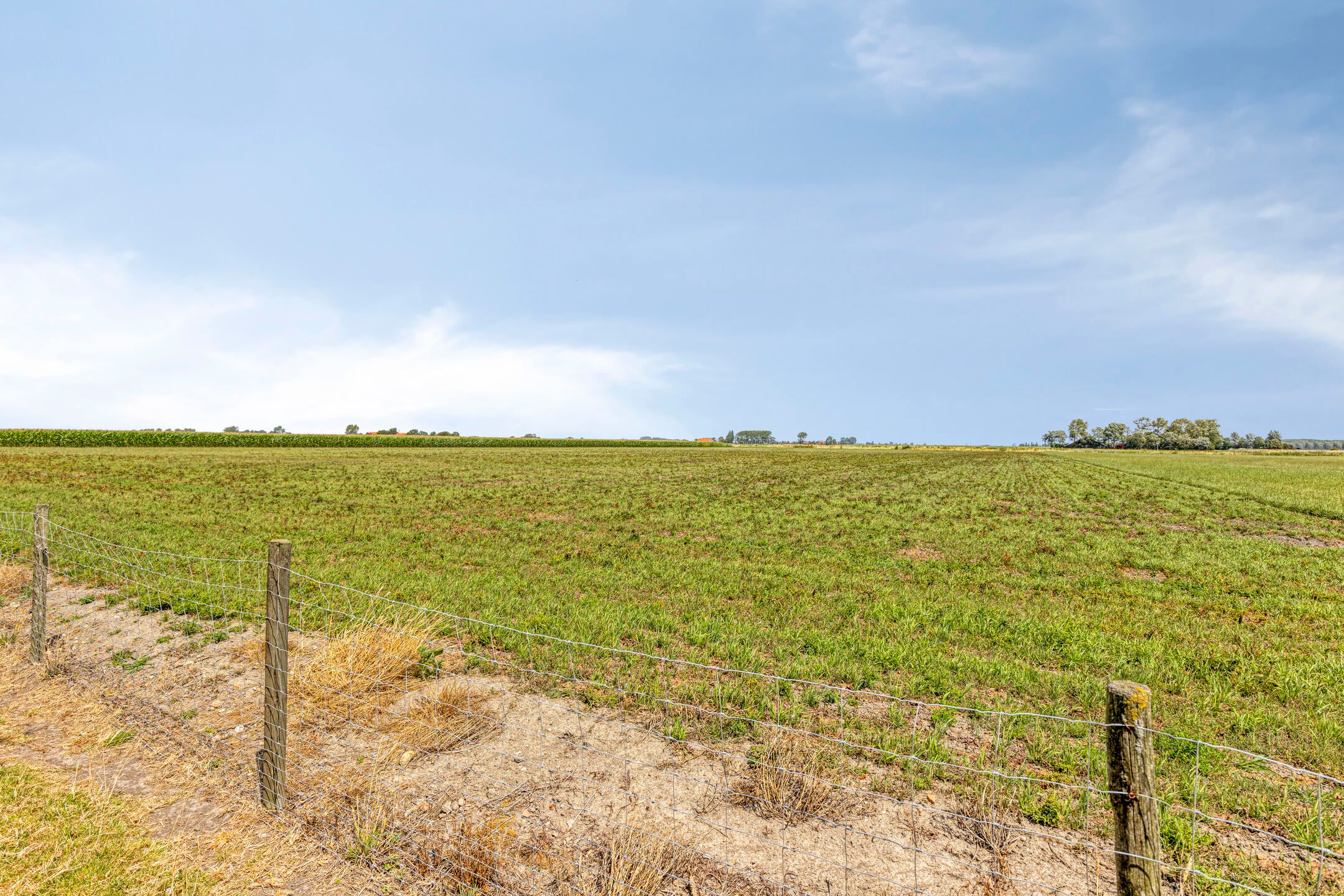 Photo 87 of Provincialeweg 14