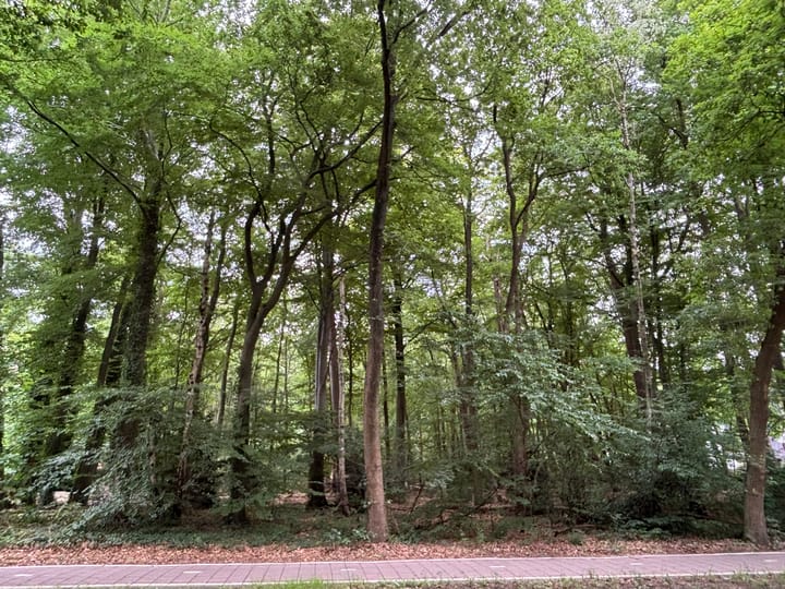 Foto 12 van Prins Hendriklaan 7