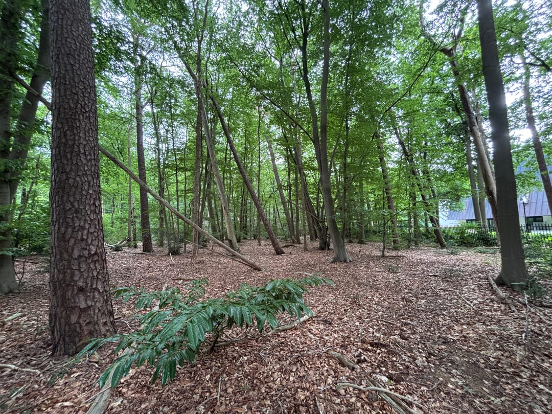 Foto 13 van Prins Hendriklaan 7