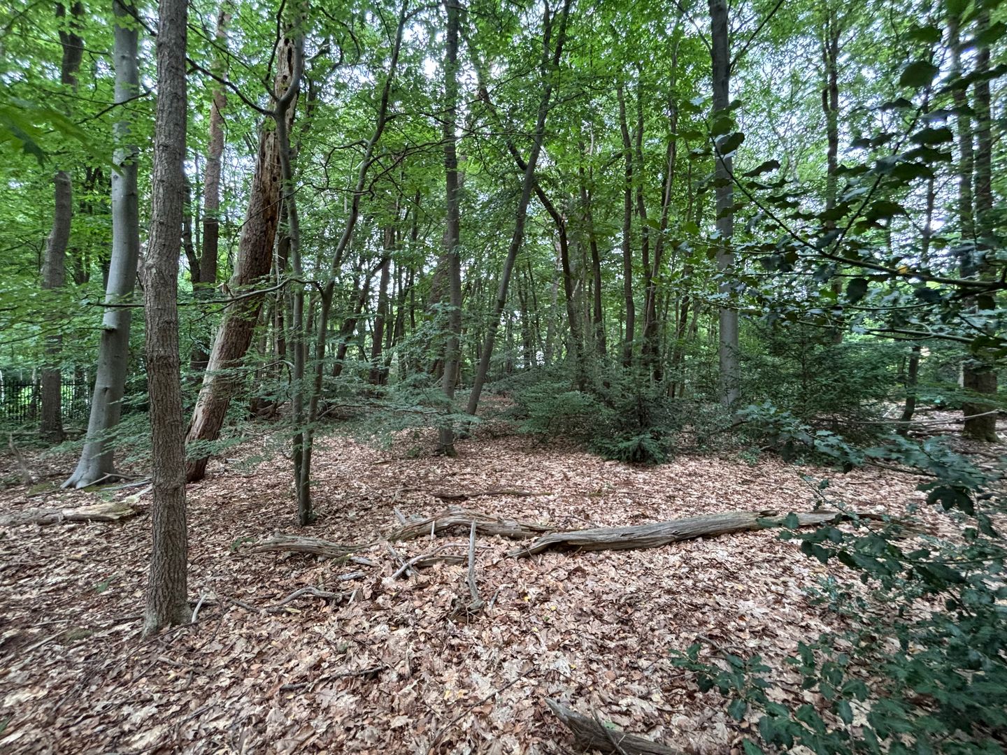 Foto 14 van Prins Hendriklaan 7