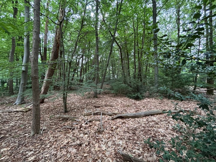 Foto 14 van Prins Hendriklaan 7