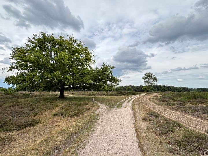 Foto 17 van Prins Hendriklaan 7