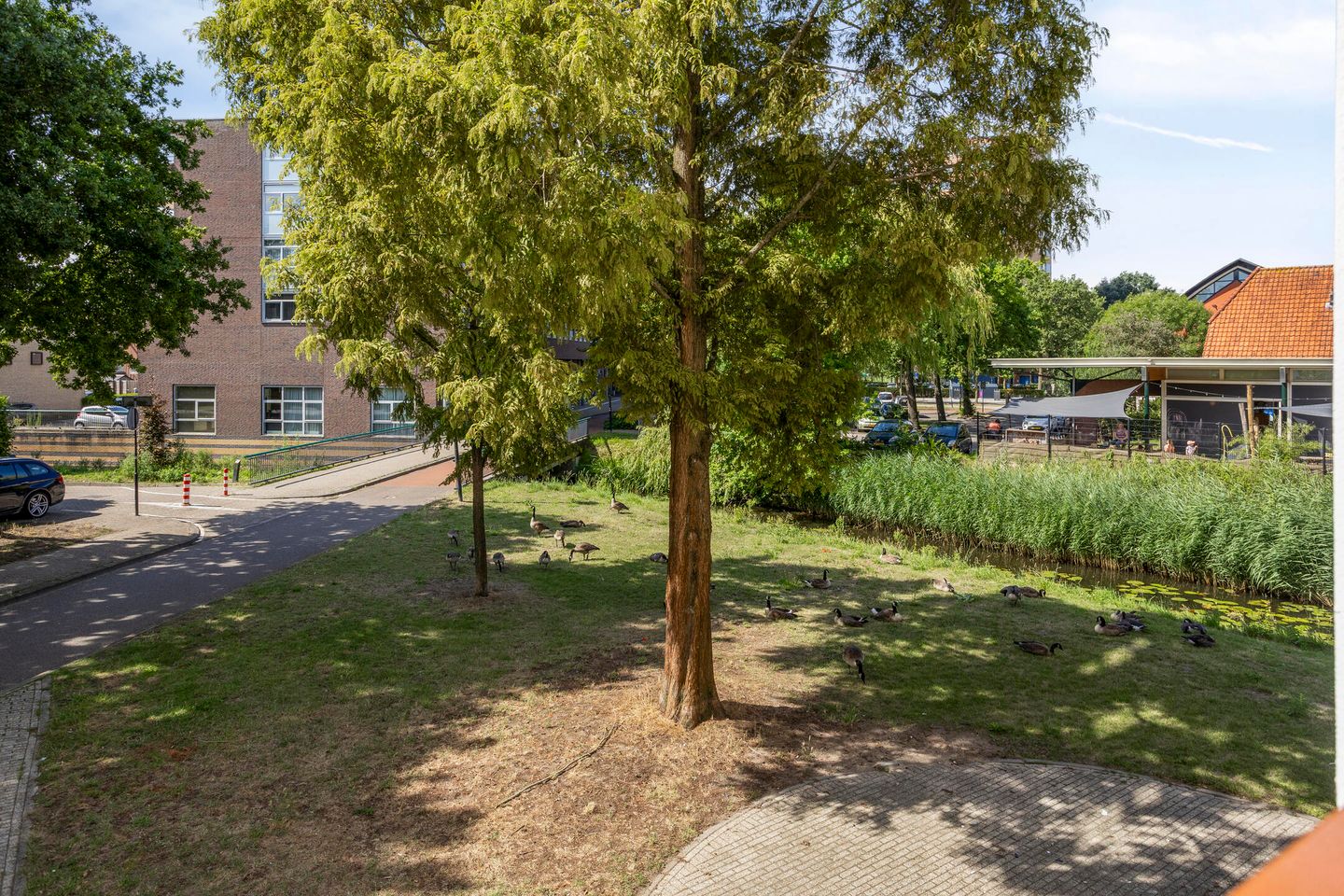 Foto 19 van Lage Boog 13