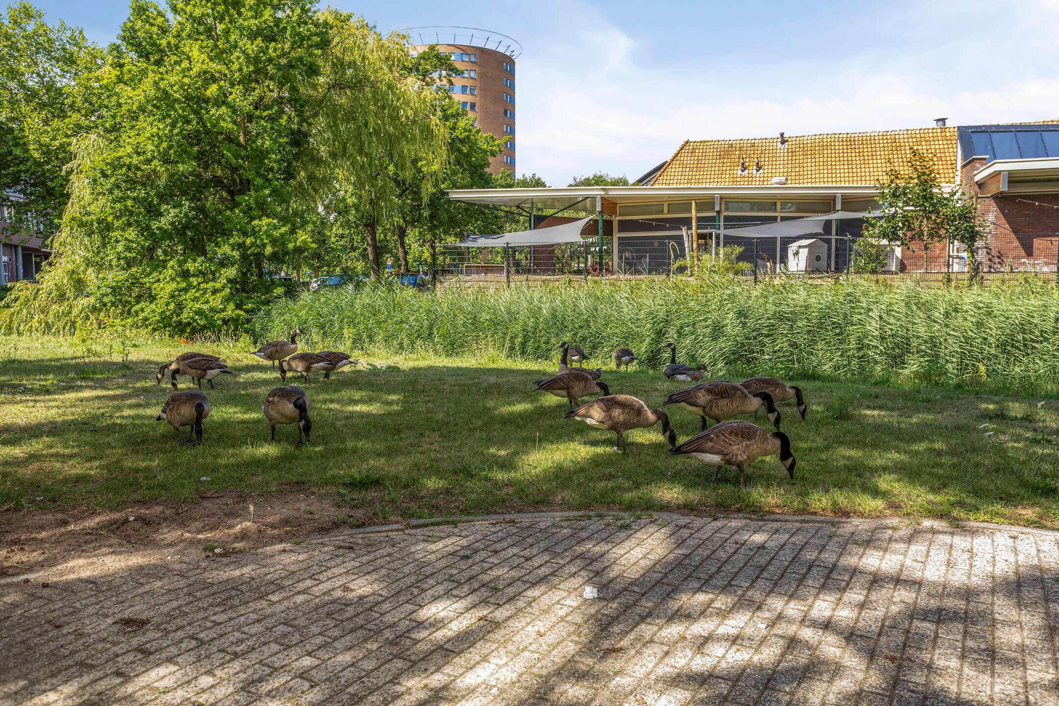 Foto 30 van Lage Boog 13