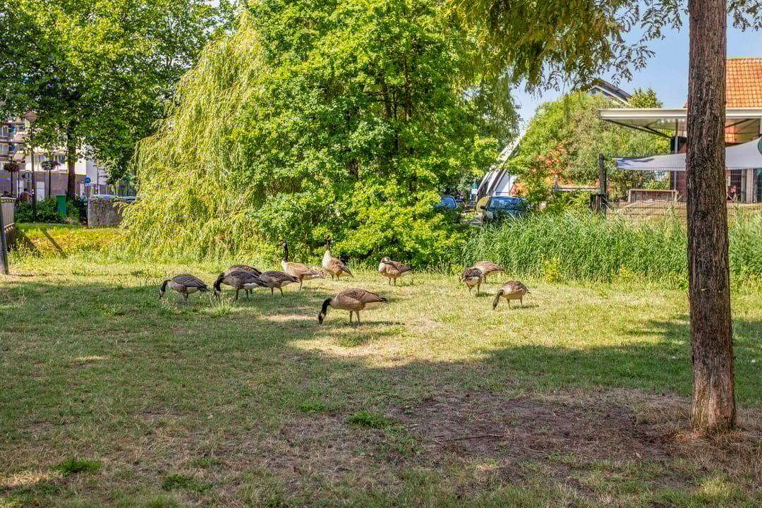 Foto 31 van Lage Boog 13