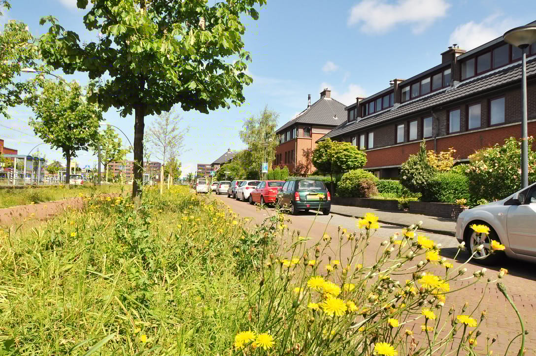 Foto 20 van Laan van Wateringse Veld 928