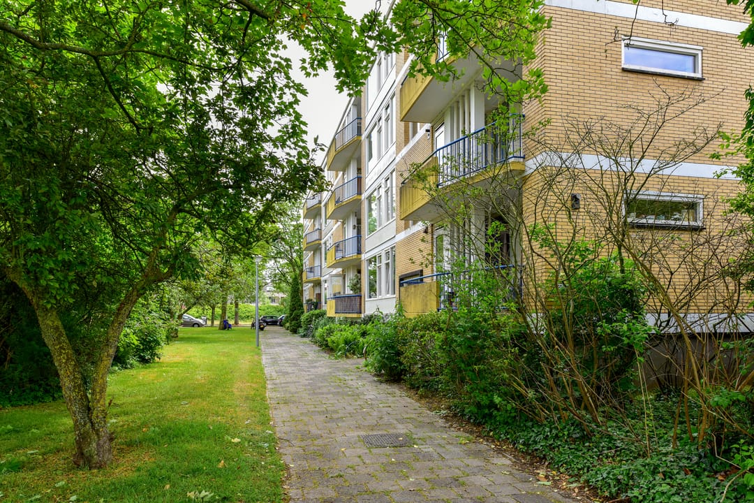 Foto 26 van Van Ostadelaan 86