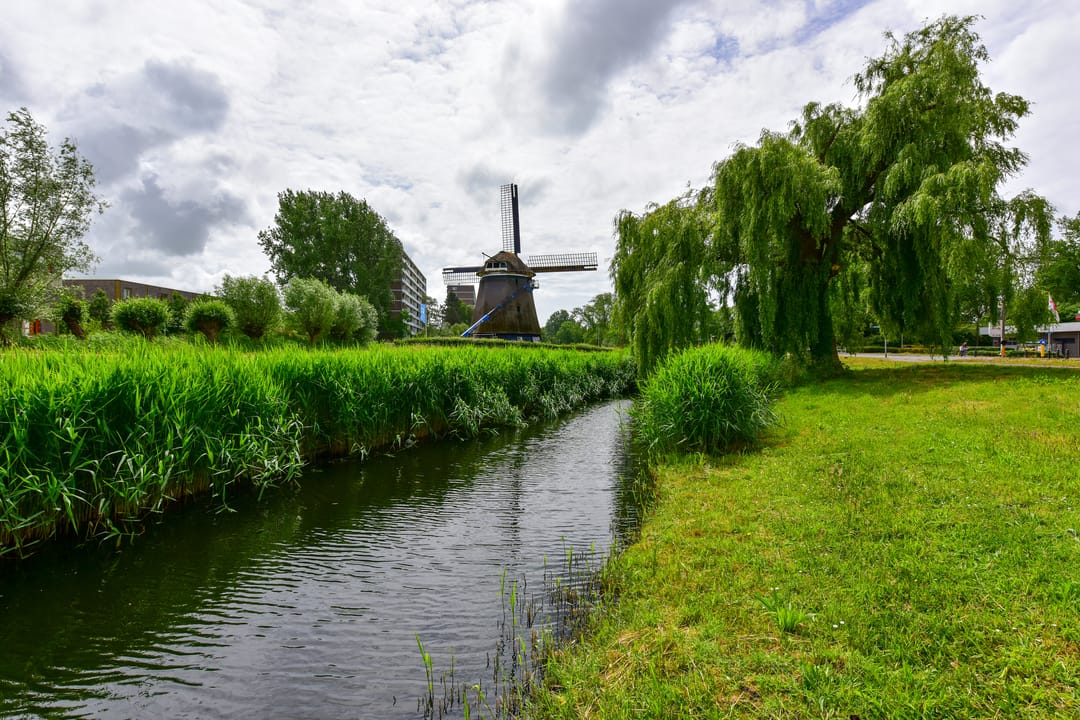 Foto 28 van Van Ostadelaan 86