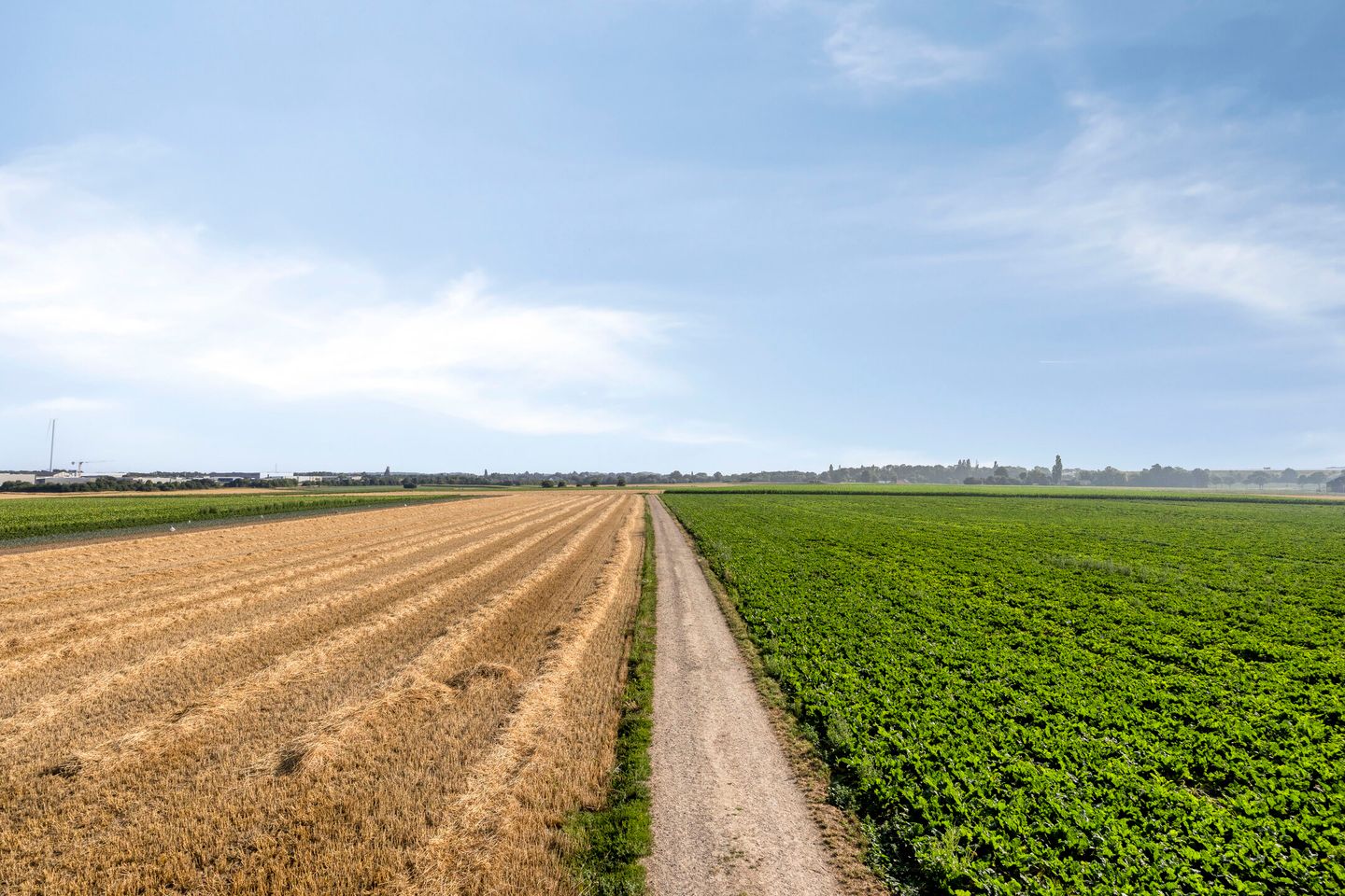 Foto 29 van Pergamijndonk 8