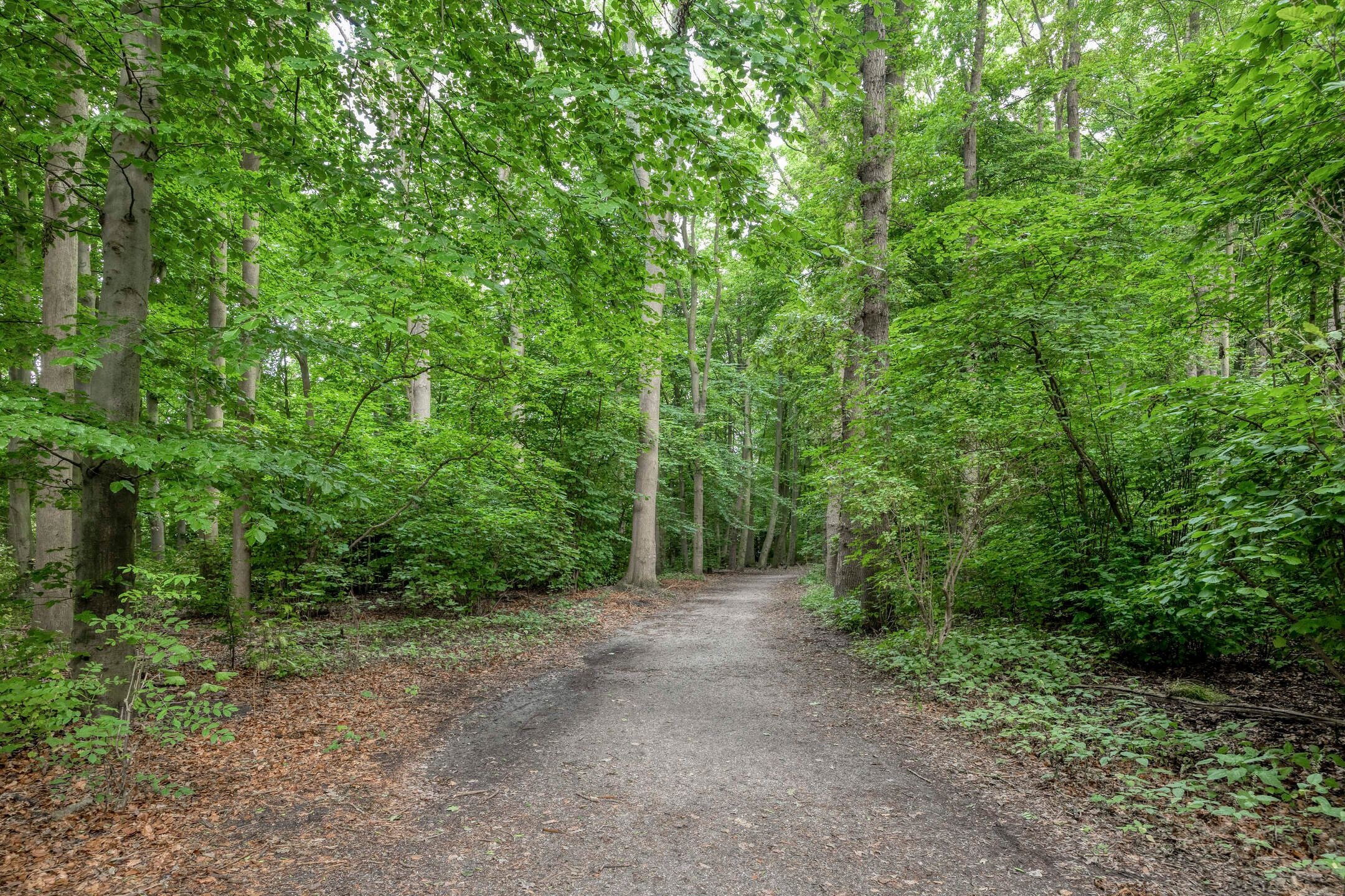 Foto 36 van Dr Augustijnlaan 51