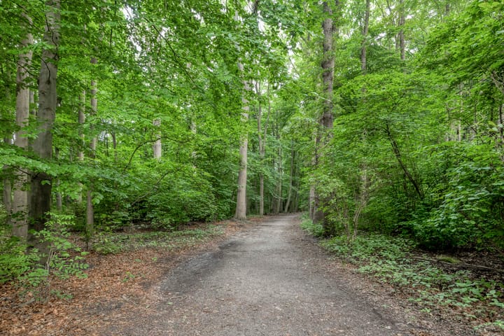 Foto 36 van Dr Augustijnlaan 51