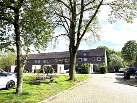 Kickestein 52